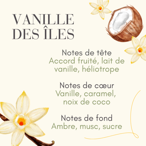 Vanille des îles TDB Parfum vanille