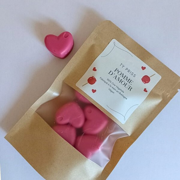 Fondant cire de soja