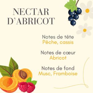 Parfum d'ambiance Abricot