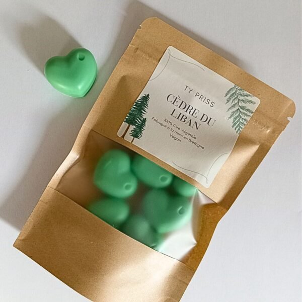 Fondant pour brûle parfum