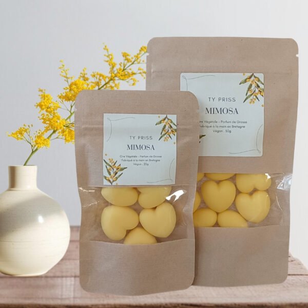 6 Fondant parfumé Mimosa