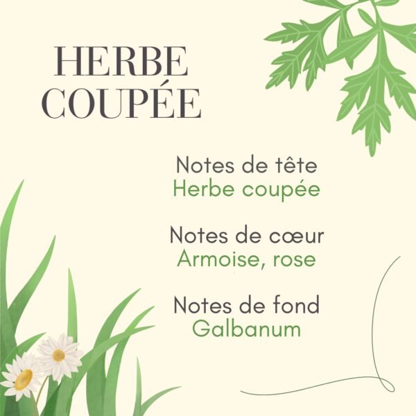 6 Parfum herbe coupée