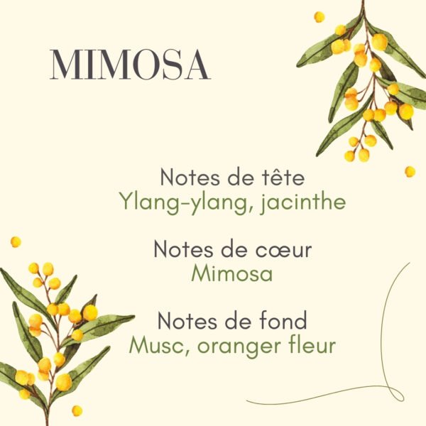 6 (copie 1) Parfum mimosa