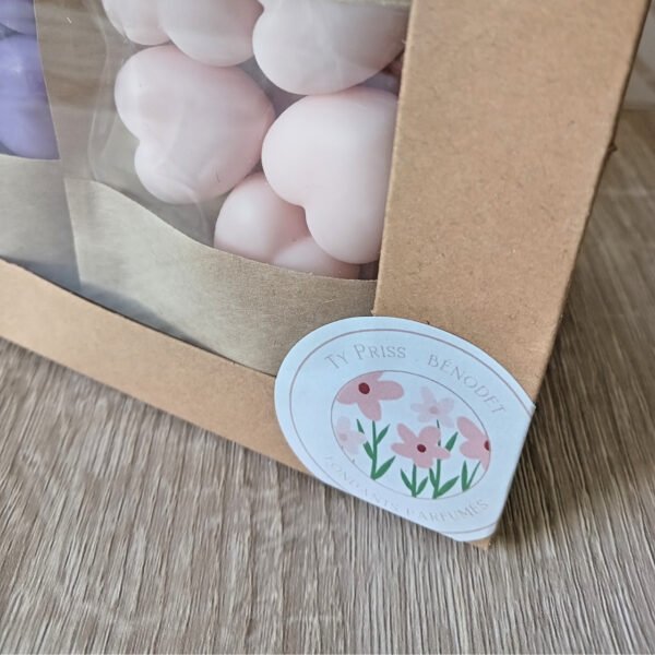 Fondant parfumé Ty Priss