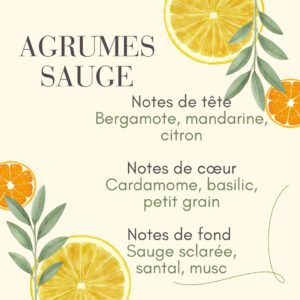 Agrumes Sauge Parfum Agrumes Sauge