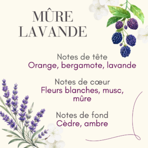 4 Parfum Mûre Lavande