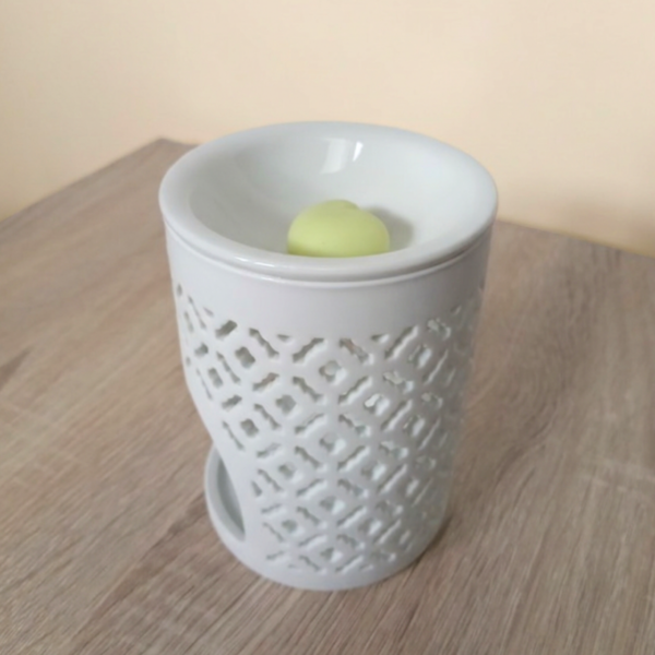Diffuseur fondants parfumés