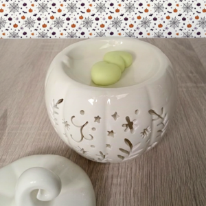 Brûle parfum fondants parfumés