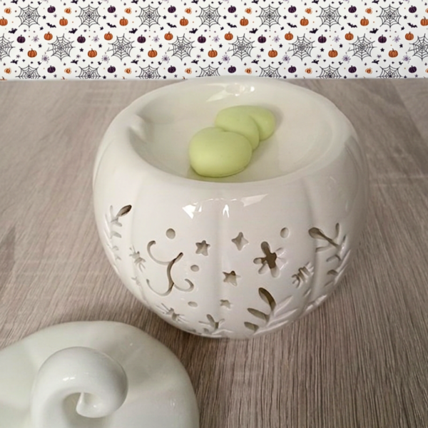 Brûle parfum fondants parfumés