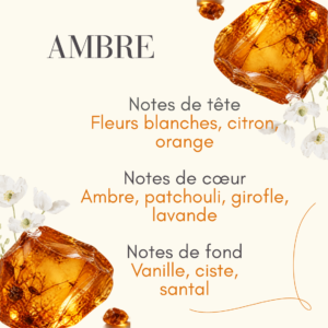 6 Parfum Ambre